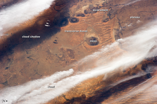 Illustration for article titled The Shifting Sands Of The Sahara Are A Lesson In Dune DynamicsÂ
